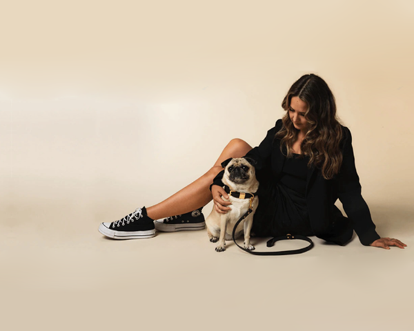 For Dog Lovers