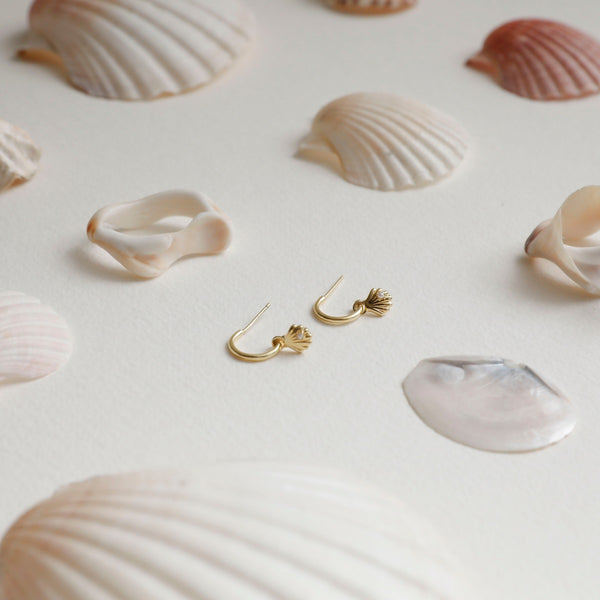 Sophie She Shell Hoop Studs