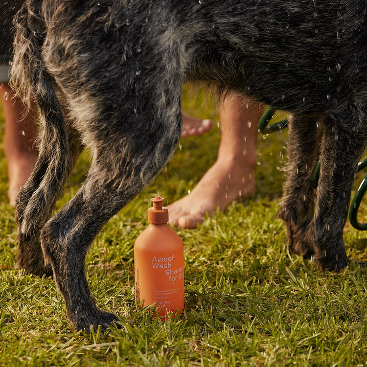 Awoof Wash Shampoo for Dogs Thread Design